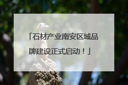 石材产业南安区域品牌建设正式启动！